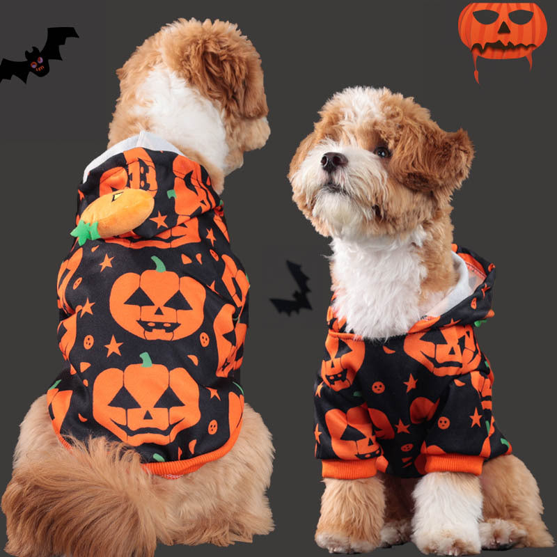 Pet Halloween Starter Pack bundle